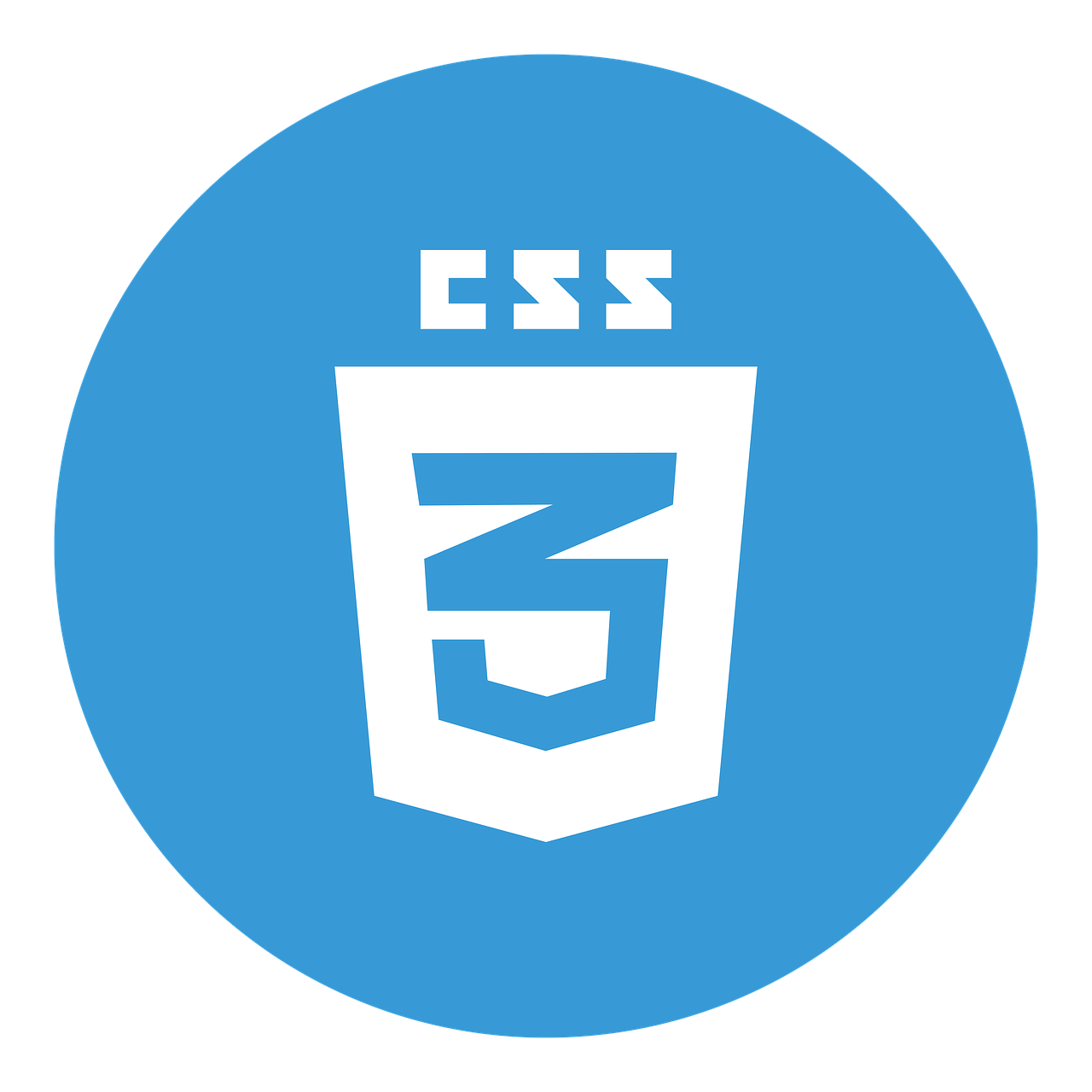 CSS Developer